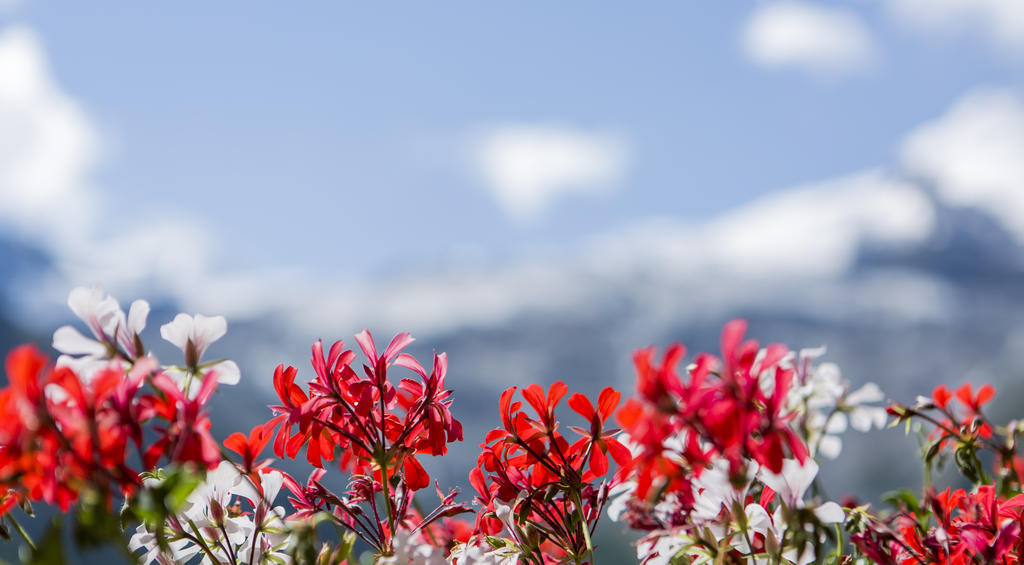 Artemis Easy Stay Self Check In-Out Saas-Fee Esterno foto