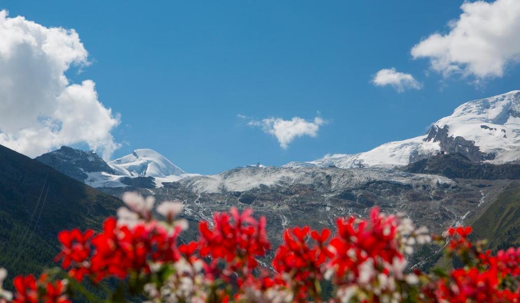 Artemis Easy Stay Self Check In-Out Saas-Fee Camera foto